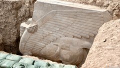 Die 2700 Jahre alte und etwa 18 Tonnen schwere Skulptur stand als symbolischer Schutz vor den Toren der antiken Stadt Chorsabad. (Bild: APA/AFP/Zaid Al-Obeidi)