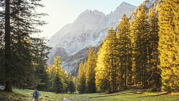 Einzigartig und wunderschön: Der steirische Nationalpark Gesäuse mit seinen Wäldern, schroffen Felsen und Gipfeln. (Bild: Stefan Leitner)