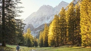 Einzigartig und wunderschön: Der steirische Nationalpark Gesäuse mit seinen Wäldern, schroffen ...