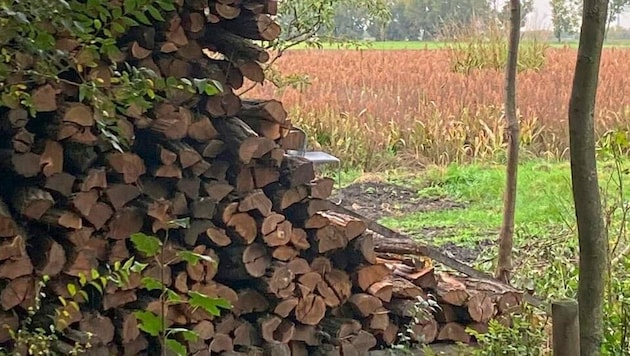 Holz als begehrtes Gut: Unbekannte lassen derzeit wieder Brennmaterial mitgehen. (Bild: Christian schulter)