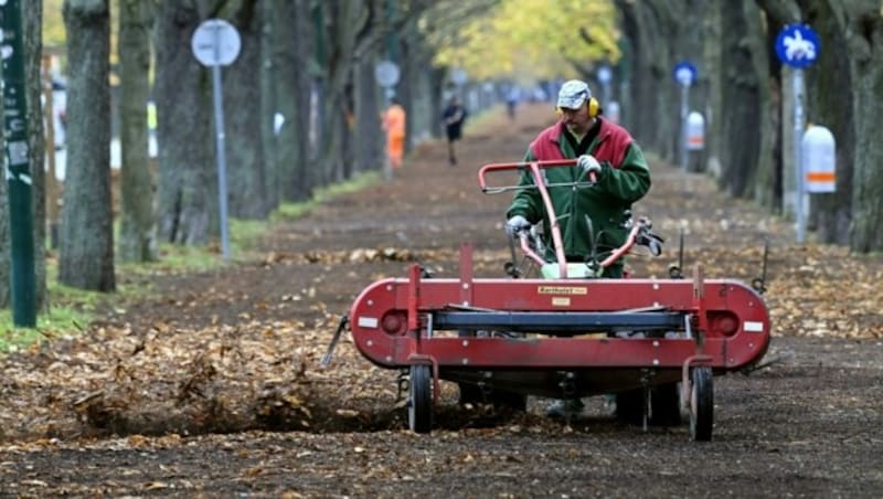 (Bild: APA/HANS KLAUS TECHT)