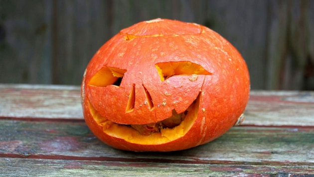 Kürbis-Schnitzen: Zu Halloween besonders beliebt.