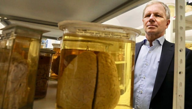 Brain researcher Prof. Dr. Jürgen Sandkühler, here in the Vienna Fool's Tower, knows how near-death experiences occur. (Bild: Jöchl Martin)