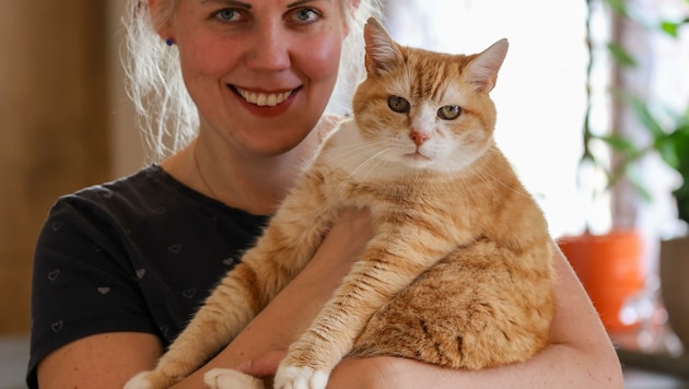 Katzen-Methusalem „Michi“ ist der ganze Stolz von Mechatronikerin Kristin Peter (34) und ihrer Familie in Eggelsberg. (Bild: Scharinger Daniel)
