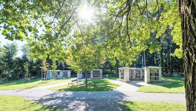 Baumbestattungen und Gemeinschaftsanlagen finden sich im Villacher Waldfriedhof. (Bild: Adrian Hipp)