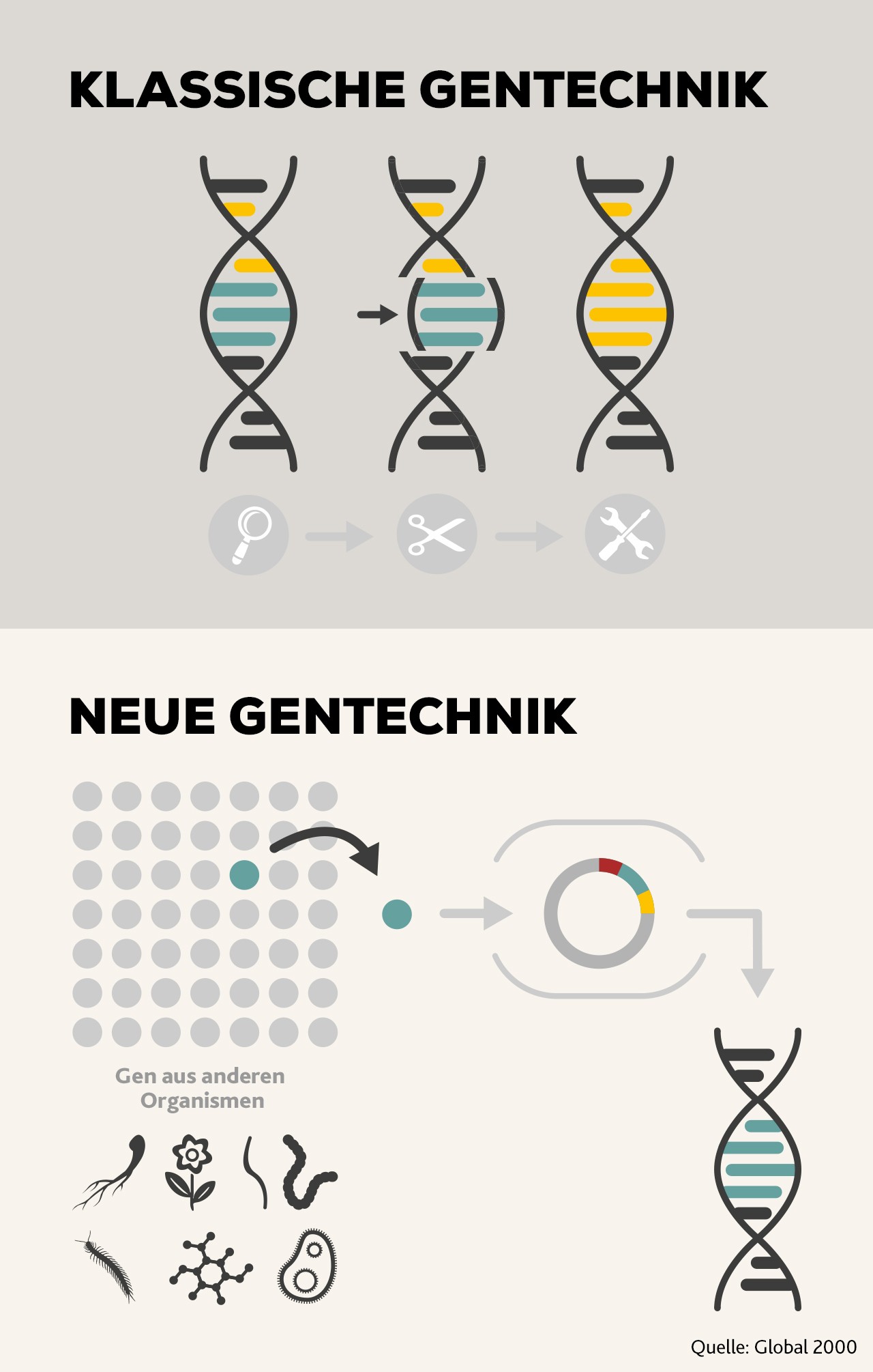 Feldzug Gegen EU - So Kämpft Der Handel Gemeinsam Gegen Gentechnik ...