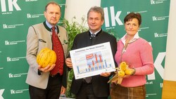 Besorgte Kammer-Spitze: Werner Brugner, Franz Titschenbacher und Maria Pein (Bild: LK-Stmk/Danner)