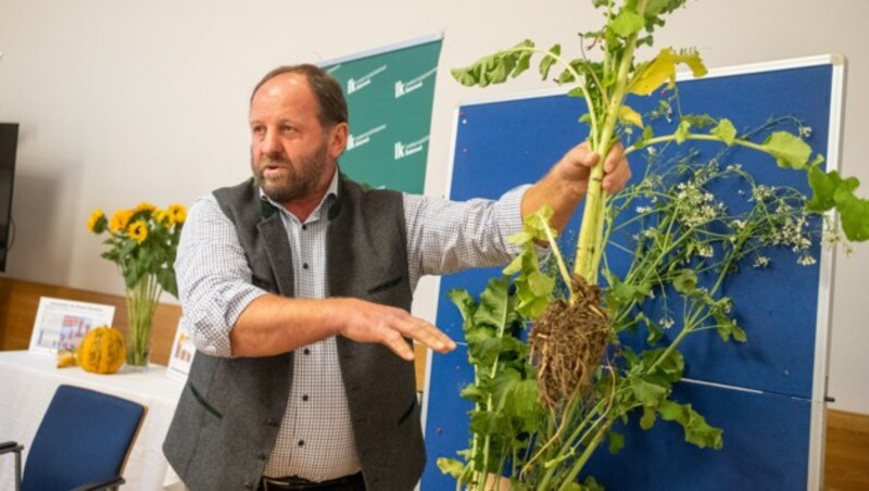 Landwirt Herbert Lebitsch aus Altenmarkt bei Fürstenfeld setzt auf dauerhafte Begrünung (Bild: LK-Stmk/Danner)