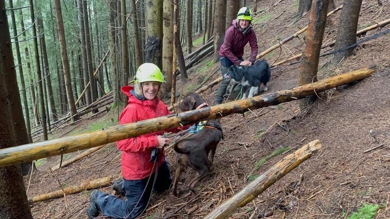 Bilder von glücklichen Funden. (Bild: K-9 Pro)