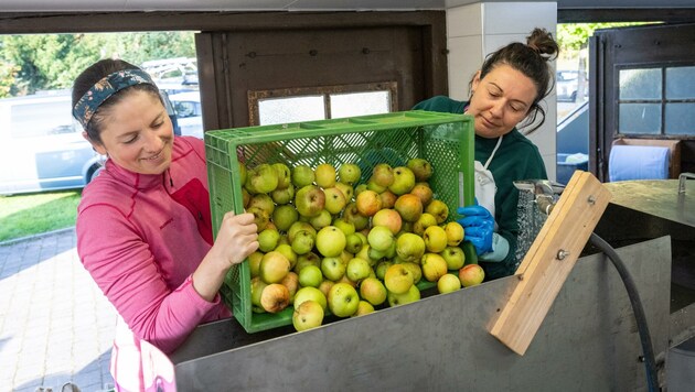 Martina Erhard und Anita Pfannhauser (re.) beim Waschen ihrer mitgebrachten Äpfel. (Bild: Kerstin Joensson)