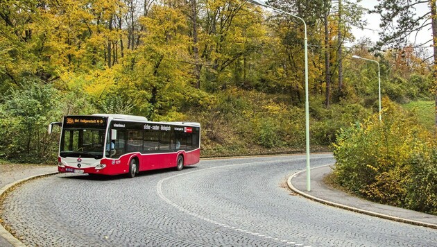Zweimal jährlich grüßen in Wien ganz besondere Busse. (Bild: Manfred Helmer)