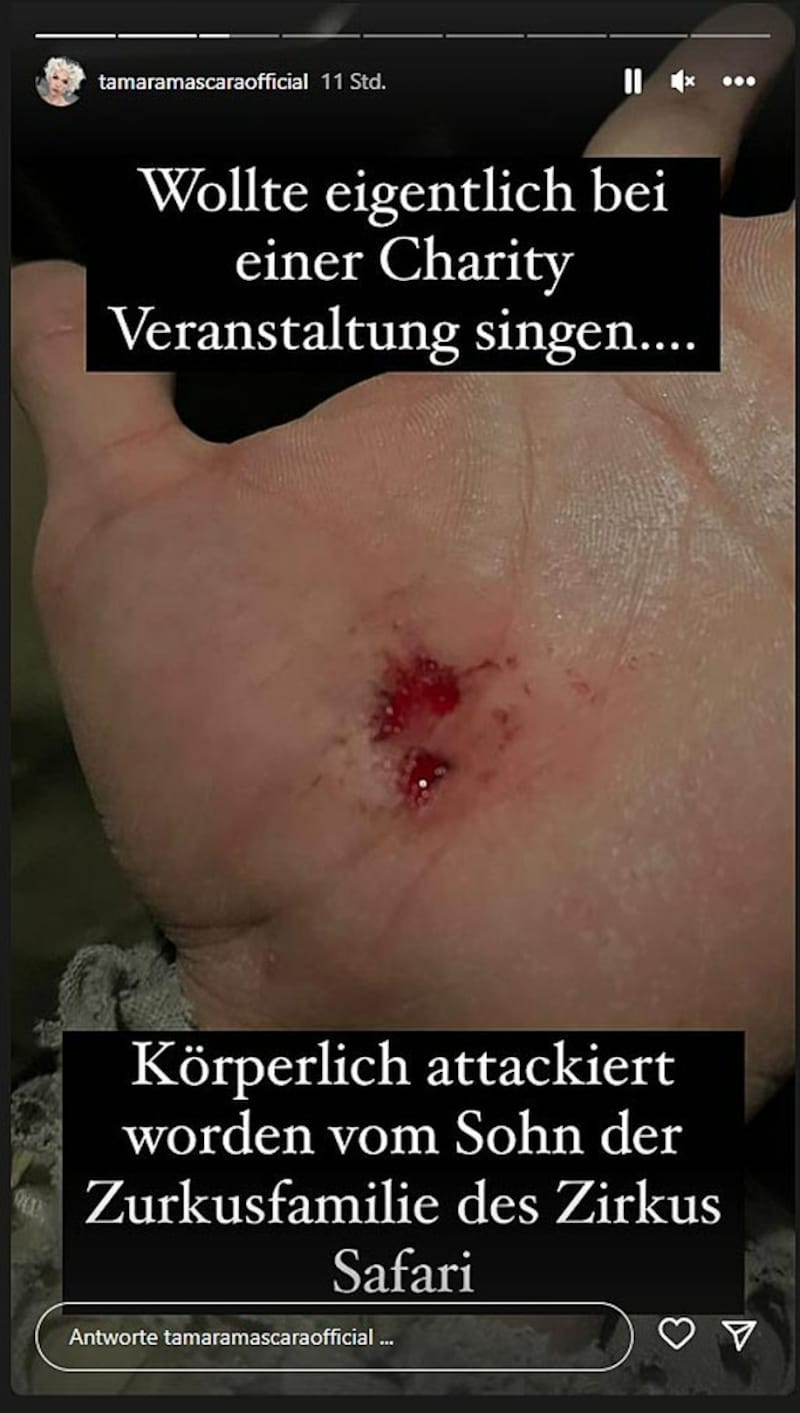 Sie sei „körperlich attackiert worden“, schilderte die Dragqueen. (Bild: instagram.com/tamaramascaraofficial, Krone KREATIV)