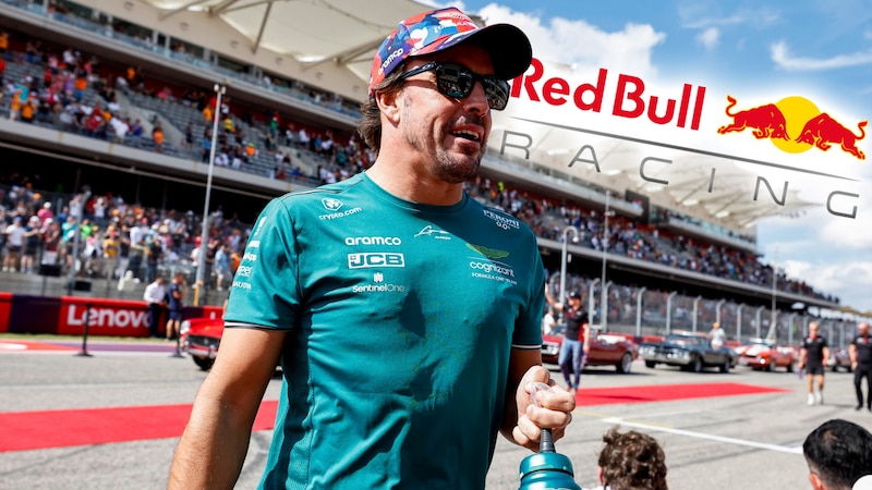 Fernando Alonso (Bild: AFP/GETTY IMAGES/Chris Graythen, Red Bull Racing)