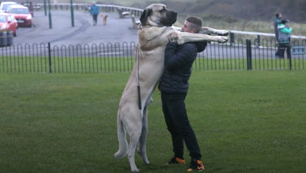 Dylan Shaw und sein Hund „Abu“ (Bild: kamaeraone)