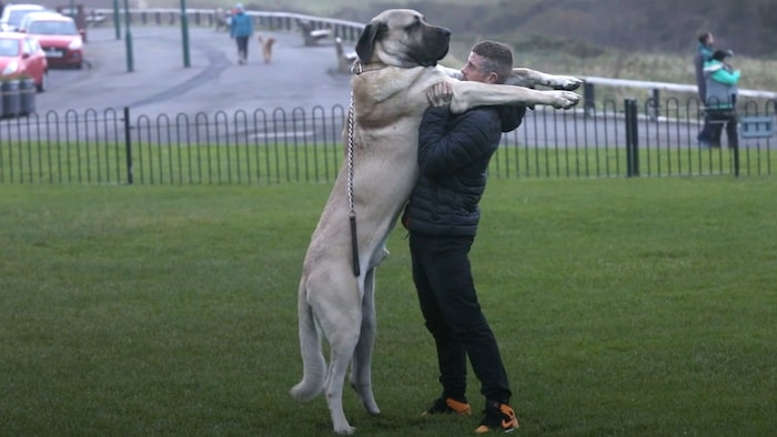 Dylan Shaw und sein Hund „Abu“