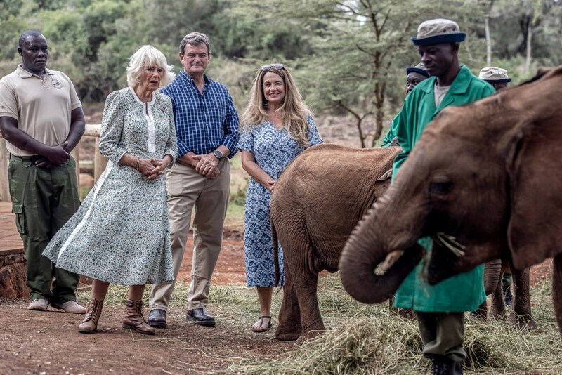 Camilla informierte sich über die Rettung und den Schutz von Wildtieren. (Bild: Luis Tato, POOL AFP via AP, APA)