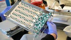 Ein Medikamentenrohstofflager (Bild: APA/BARBARA GINDL)
