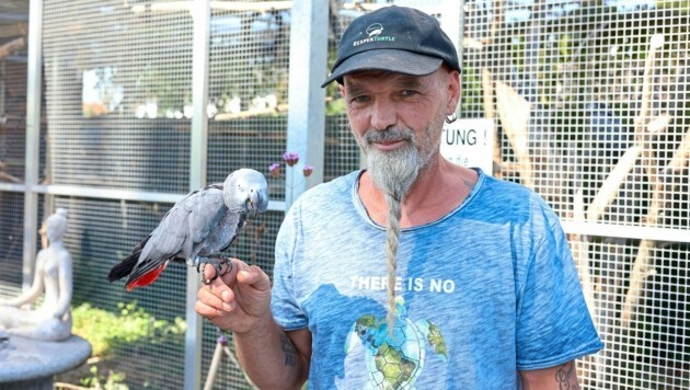 Etliche Graupapageien haben in der „Arche“ Obdach gefunden. (Bild: Zwefo)