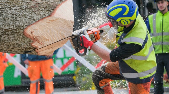 Die Mitarbeiter der Linz AG legten Hand an.