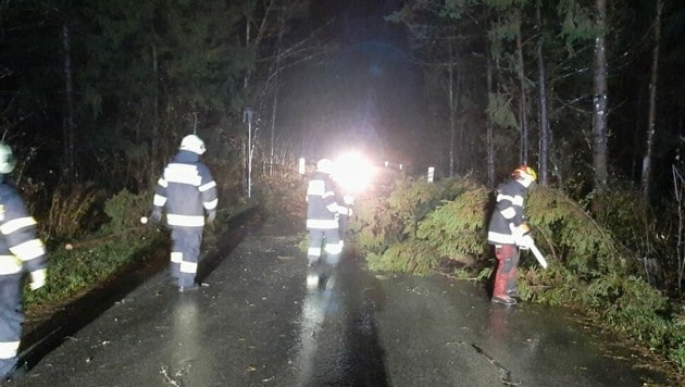 Die Feuerwehr Unterbergen hatten in Unterbergen und Unterloibl binnen kurzer Zeit fünf Einsätze wegen umgestürzter Bäume. (Bild: FF Unterbergen)