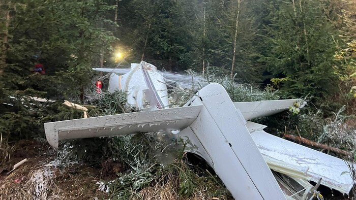 Das Kleinflugzeug stürzte in ein Waldstück knapp unterhalb eines Forstwegs.
