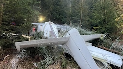 Das Kleinflugzeug stürzte in ein Waldstück knapp unterhalb eines Forstwegs. (Bild: FF St. Andrä)