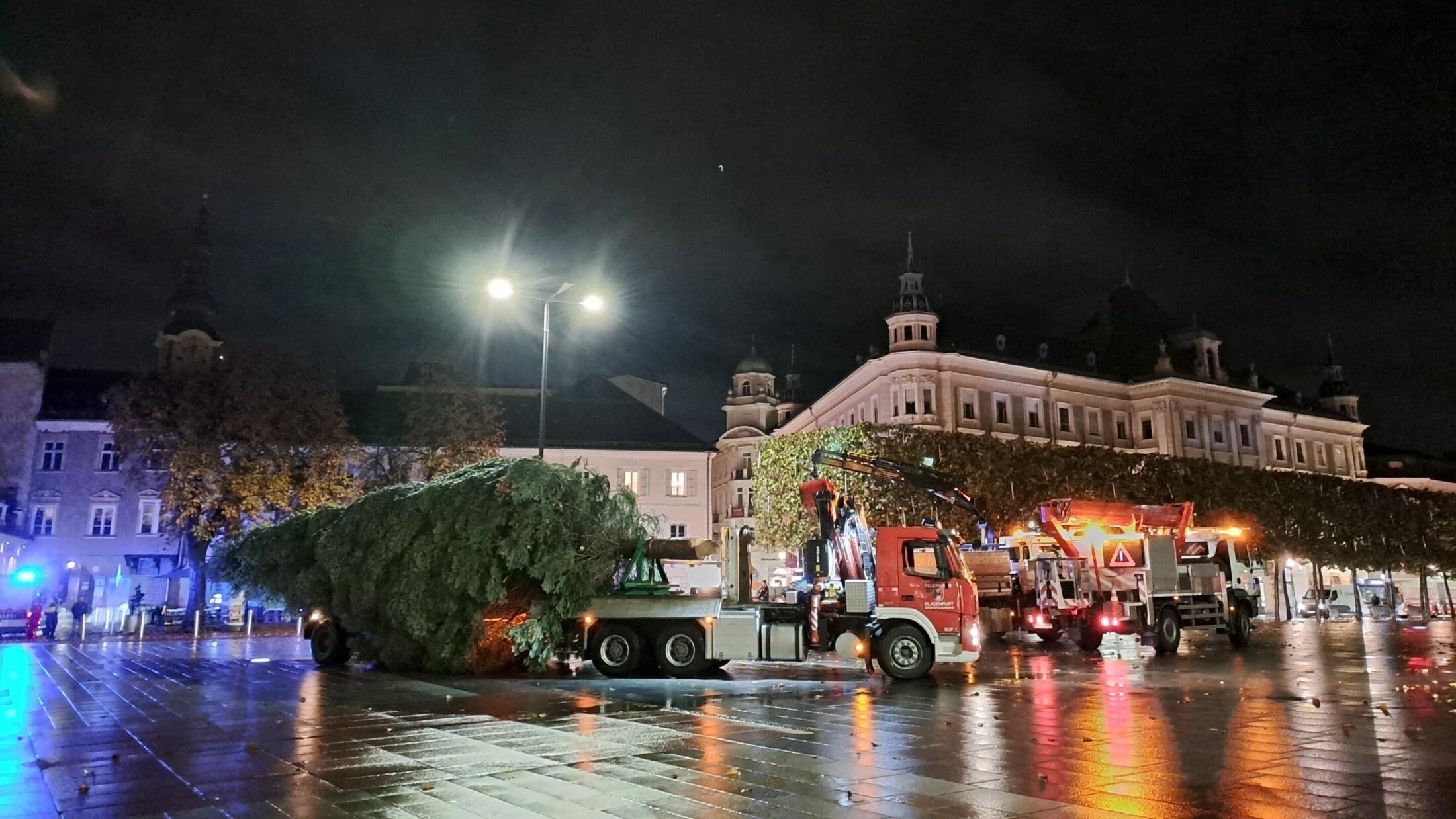 Der Baum rollte vor 6 Uhr auf den Neuen Platz.