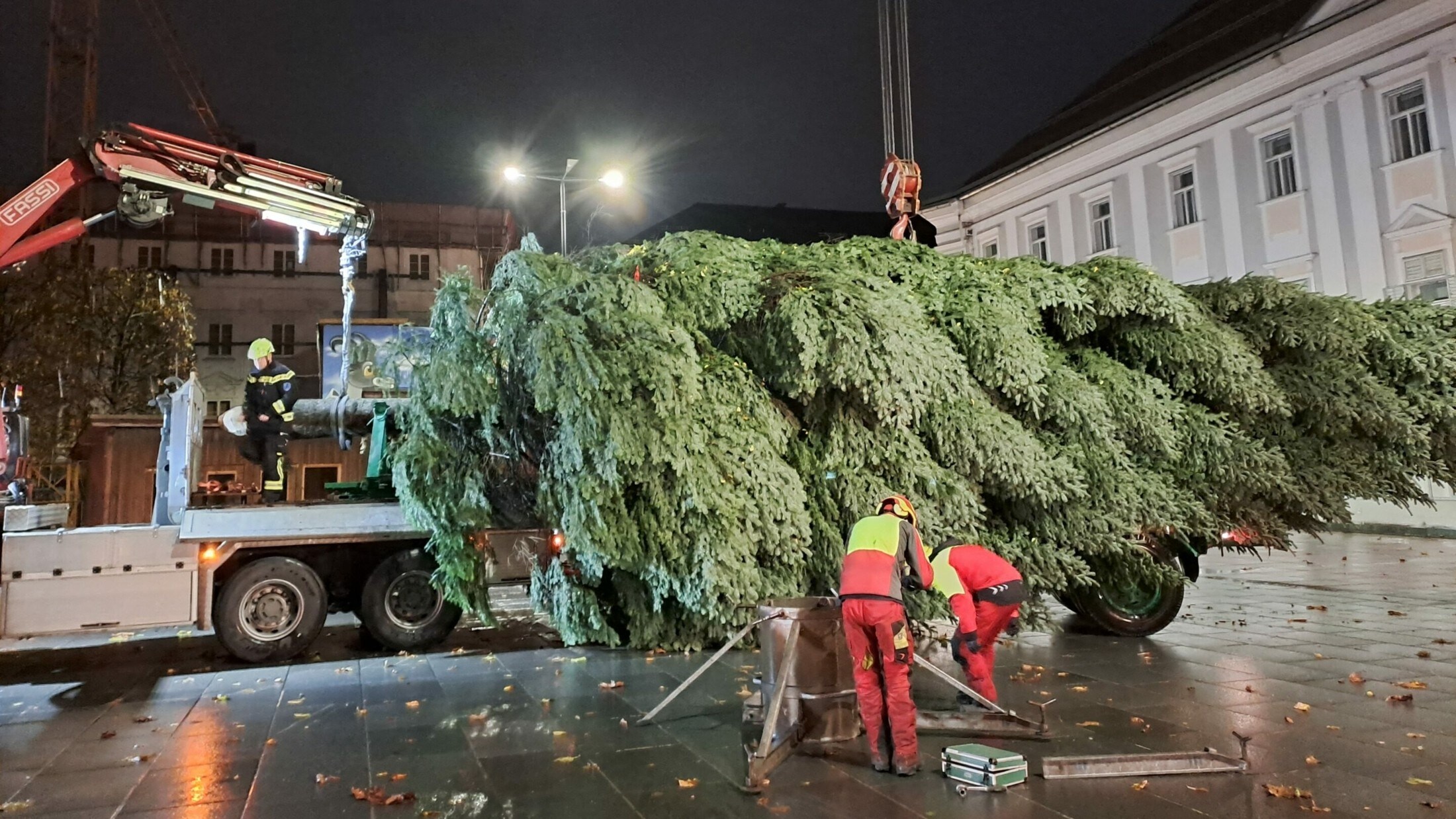 Ein eigener Metallzylinder hält den Baum im Platz.