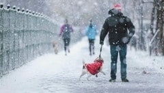 In der Nacht auf Sonntag hat es in weiten Teilen Österreichs geschneit. Verkehrsbehinderungen gibt es bisher keine, allerdings einige Kettenpflichten. (Bild: EXPA Pictures)