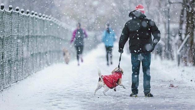 It snowed in large parts of Austria on Sunday night. There are no traffic obstructions so far, but there are some chain obligations. (Bild: EXPA Pictures)