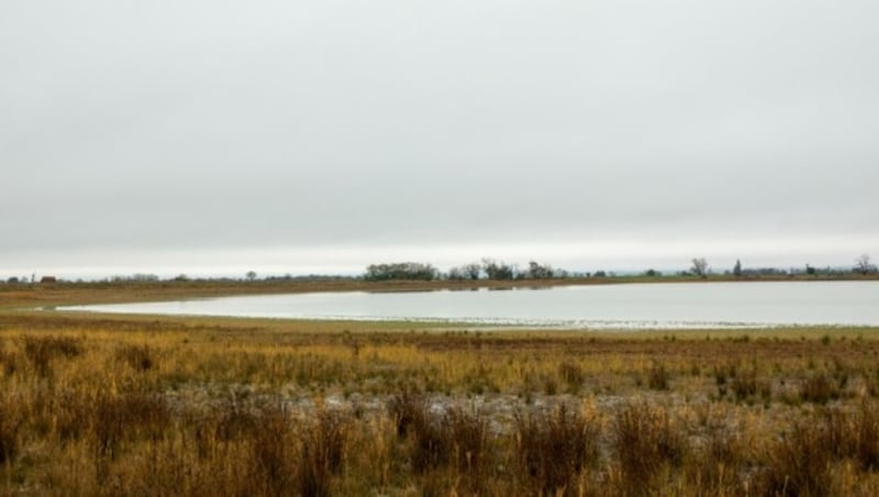 Der Darscho hat wieder eine geschlossene Wasserdecke, auch wenn noch einiges an Regen fehlt, um ihn zu füllen. (Bild: Charlotte Titz)