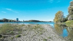 Der letzte Donaustrand im Süden der Insel ist bald weg. (Bild: Lobauinfo)