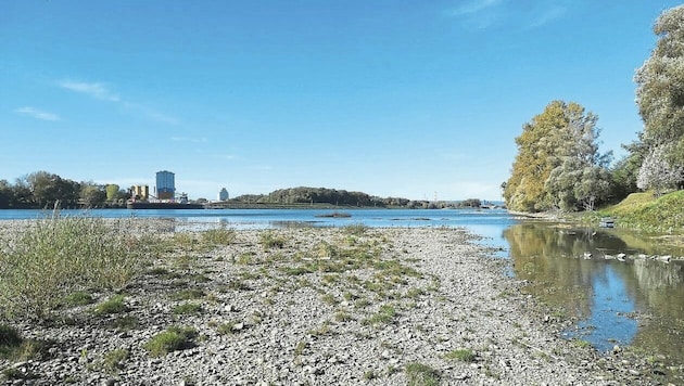 Der letzte Donaustrand im Süden der Insel ist bald weg. (Bild: Lobauinfo)