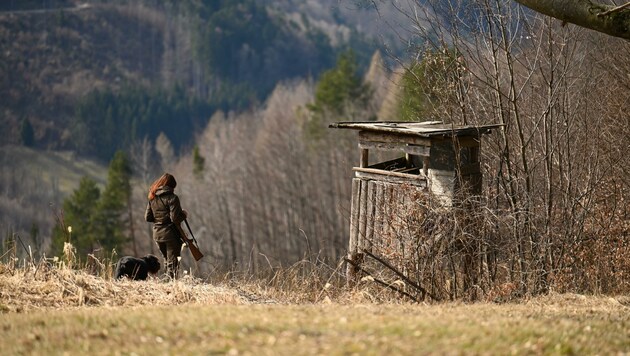 Jagdidylle in der Gegend von Steyr: Es gibt bei uns immer mehr Jägerinnen. (Bild: Wenzel Markus)