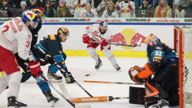 Salzburg - Linz! This duel will take place at least four times from Sunday. (Bild: GEPA pictures)