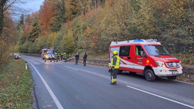 Die Floriani bei der Tierrettung. (Bild: FF Innerschwand)