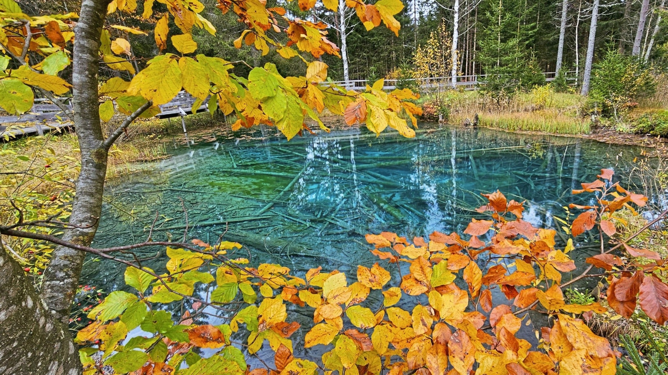 Das herbstliche Meerauge im Bodental