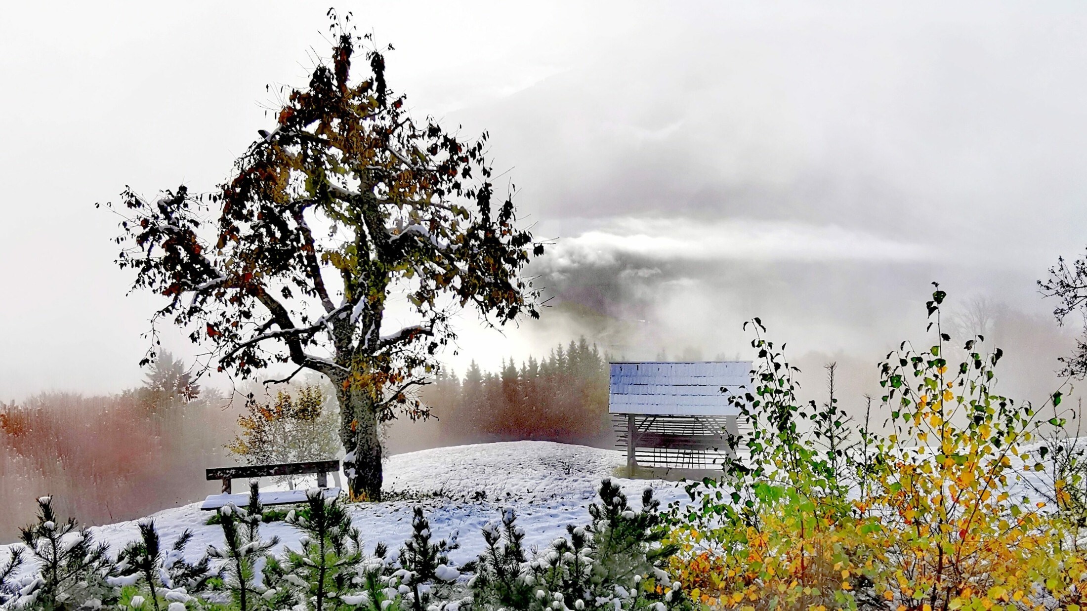Der Winter war auf dem Stöfflerberg im Gailtal zu Besuch