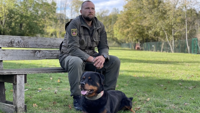 Am Trainingsplatz beim Militärhundezentrum Kaisersteinbruch.