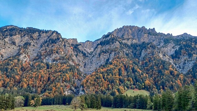 In den abgeschiedenen Bergwäldern des Klostertals finden viele seltene Vögel eine Heimat. (Bild: Bergauer Rubina)