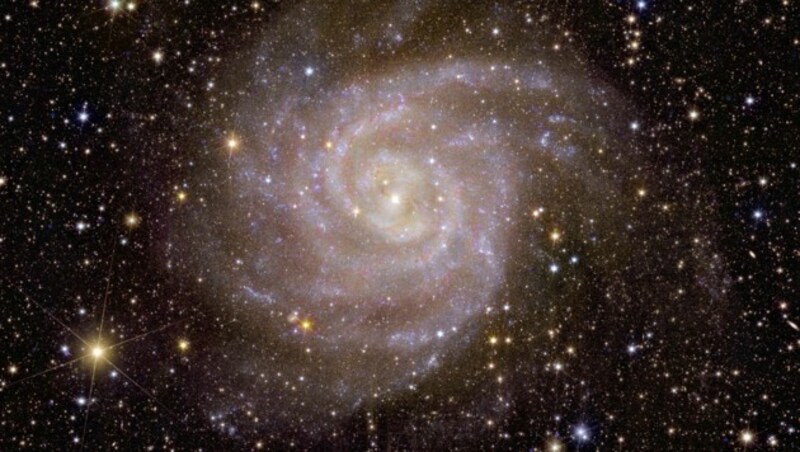 Eine der ersten Galaxien, die „Euklid“ beobachtete trägt den Spitznamen „Verborgene Galaxie“ (Bild). (Bild: ESA/Euclid/Euclid Consortium/NASA)