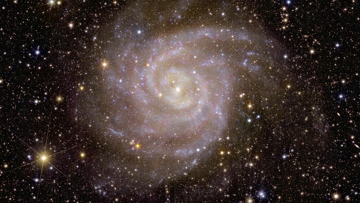 Eine der ersten Galaxien, die „Euklid“ beobachtete trägt den Spitznamen „Verborgene Galaxie“ (Bild).