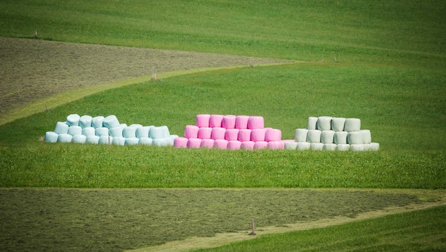 Ob man sie schön findet oder nicht: Siloballen prägen in bäuerlichen Gegenden das Landschaftsbild. (Bild: Scharinger Daniel)