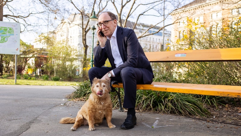 Tierschutzminister Rauch hat trotz Kompromissen nun Verbesserungen auf den Weg gebracht. (Bild: ©Dorfegger/BMSGPK)