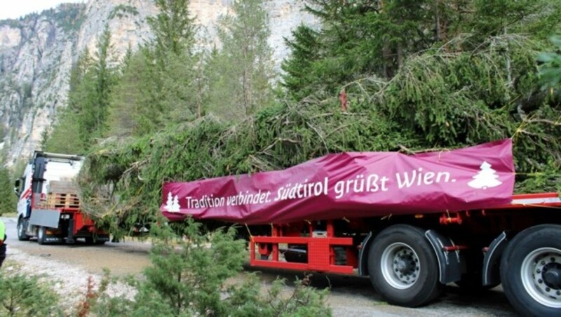 „Südtirol grüßt Wien“, steht auf dem Lkw. „Mamma Mia, wie kann man so einen schönen Baum ermorden?“, wüten die Italiener. (Bild: PID)
