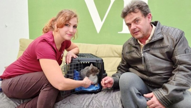 Monatelang suchte der Besitzer nach seiner Katze, die viele Kilometer „gereist“ war. Nun gab es das Wiedersehen. (Bild: Tierheim Krems)