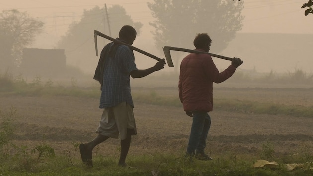 Bauer verbrennen trotz Verbot Ernte-Reste, was den Mega-Smog maßgeblich verstärkt.  (Bild: APA/AFP/Narinder NANU)