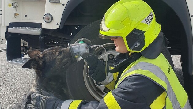 Jetzt kann Tieren nach einem Brand noch besser geholfen werden. (Bild: Hauptfeuerwache Villach)