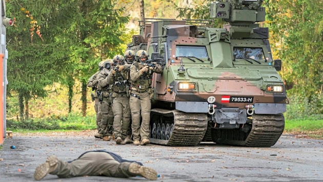 Je naše armáda dostatečně způsobilá pro válku? (Bild: STIPLOVSEK DIETMAR / APA / picturedesk.com)