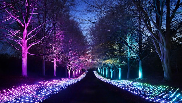 (Bild: Illumina Lichtergarten GmbH)